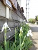 2BF881AF-D8E7-4827-A0AD-D39772C7066F