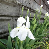 5C0C6CE1-CB55-4A2C-B770-1AA9245E077F