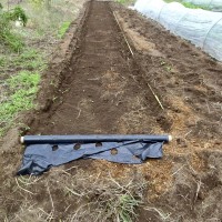 5238BC3B-9E3B-4044-9004-E5DB5A928D2D