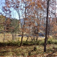 68EDFBD6-62BD-477E-A529-65BA6968A33A