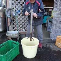 9F80FB17-42D3-4CD8-9AFA-EEA31EB72D30